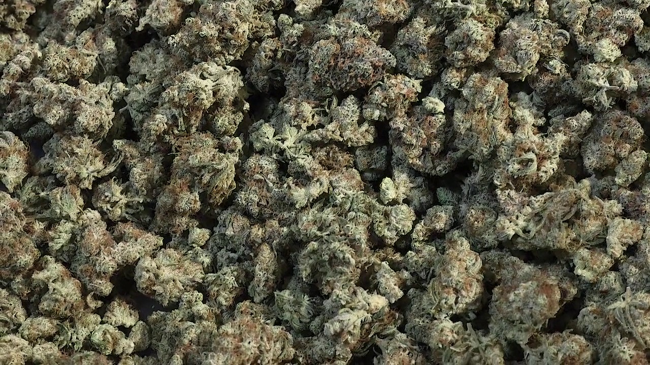 Twister T4 Dry - Close Up