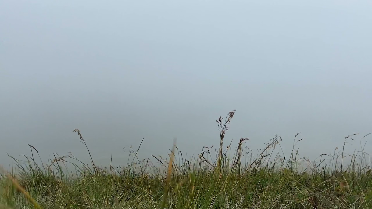 Rob Lewis - Day by Day (The Ambient Zone)
