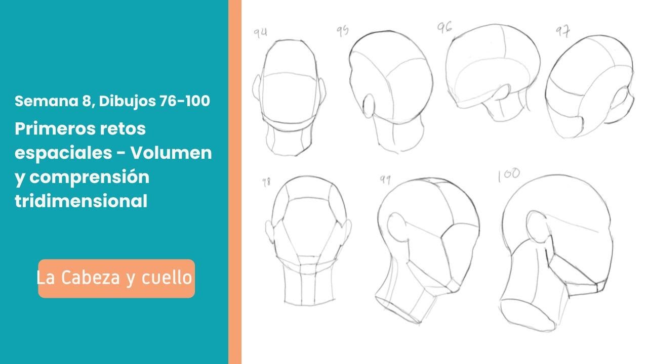 Entrenamiento volumétrico De la Cabeza y cuello previo a la conexión con el torso