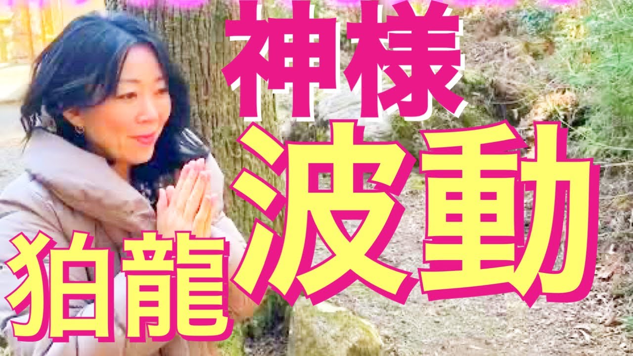 珍しい狛龍さんと出逢い水のように澄み渡るエネルギーを届けてくださり感動しました。皆さまにも御利益をお届けします。養澤神社　天照大神　龍神　狛龍