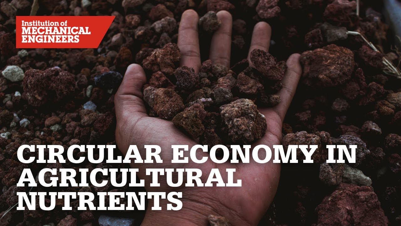 The Circular Economy in Agricultural Nutrients