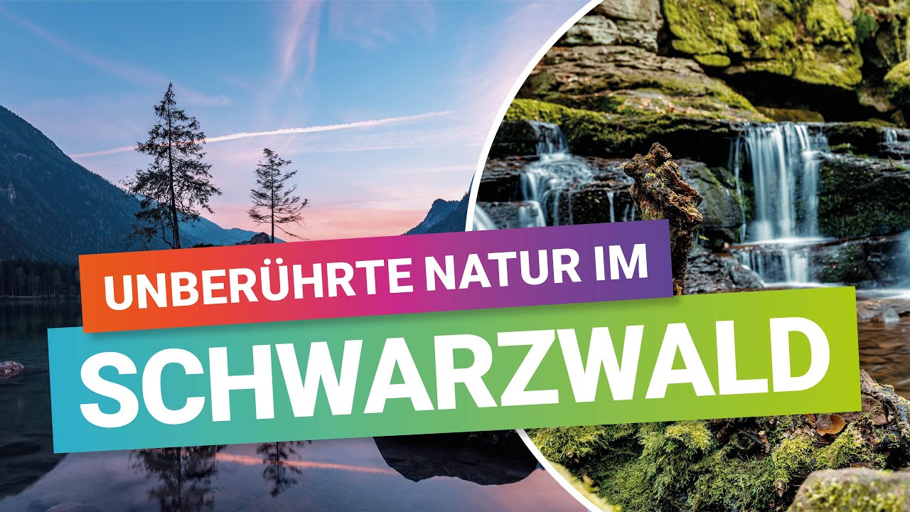 Das Monbachtal bei Bad Liebenzell: Ein Highlight f&uuml;r Landschaftsfotografie & Ausfl&uuml;ge im Schwarzwald