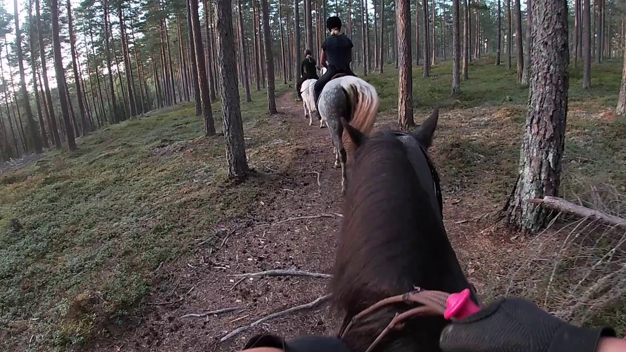Uteritt på Sannie med GoPro-kamera