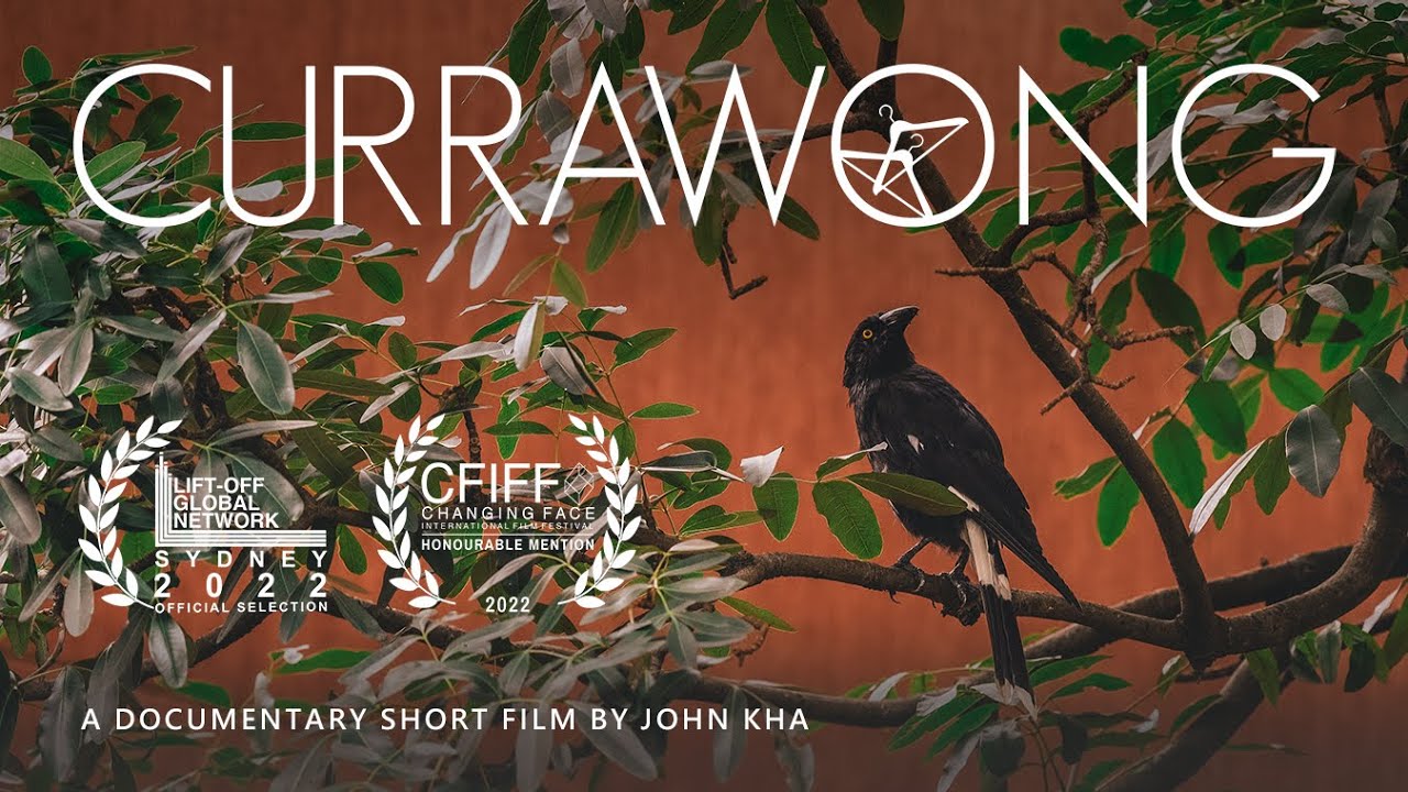Currawong | a poetic short film and nature documentary