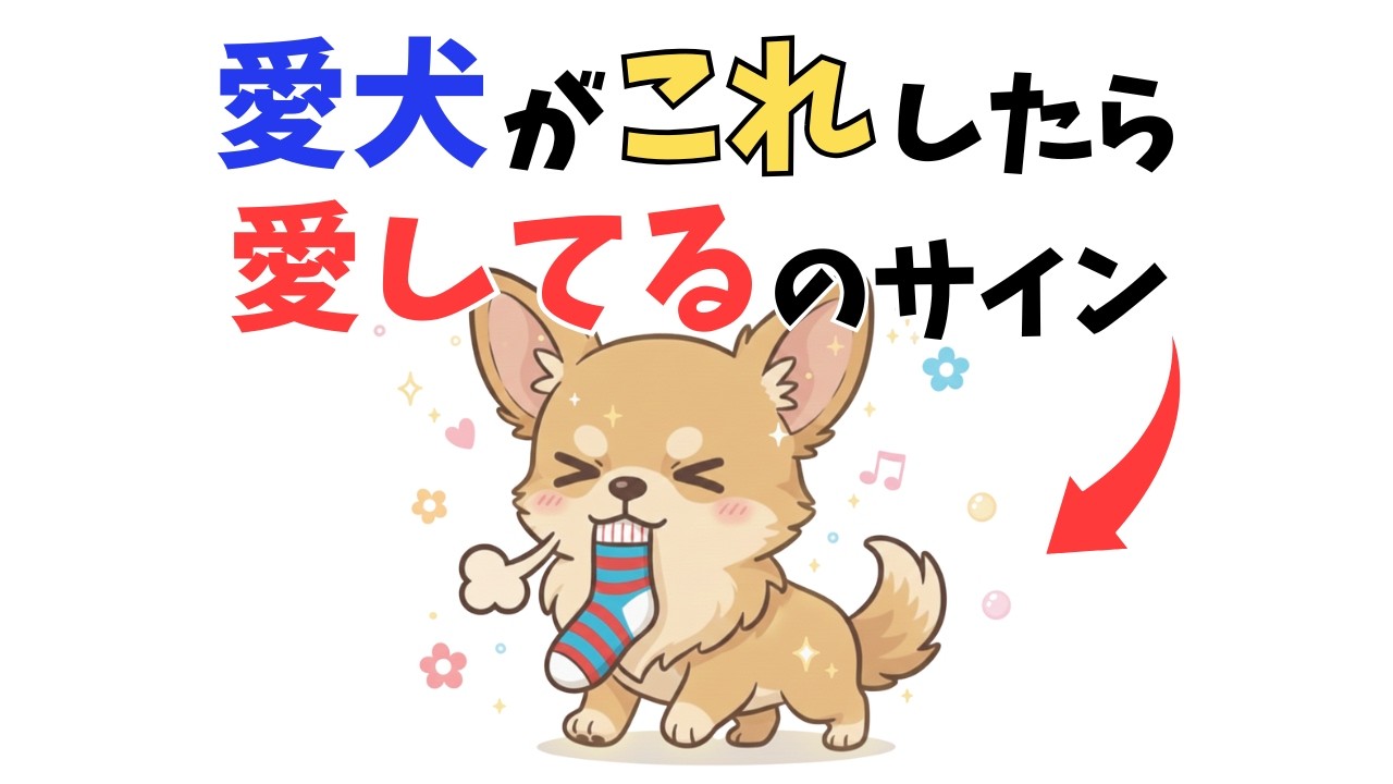 【犬の心理】飼い主にしか見せない特別な行動10選