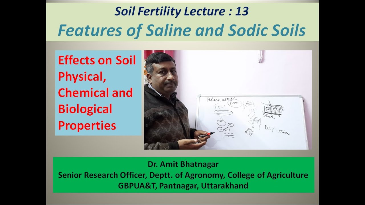Features of Saline and Sodic (Alkali) Soils