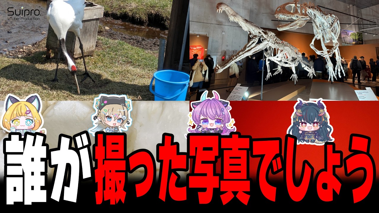 誰が撮った写真でしょう【Suipro.公式】