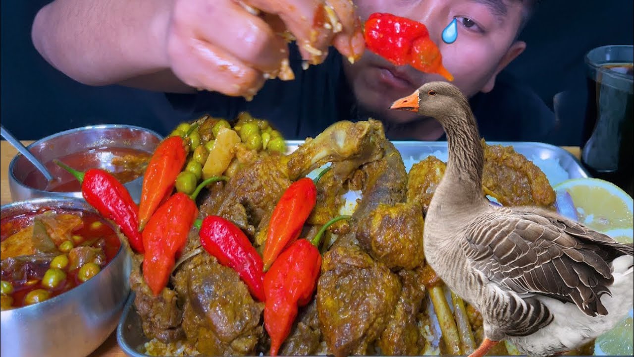 SPICY 🦆 GOOSE CURRY & 3 KING CHILLI 🌶️🌶️🌶️ || NORTHEAST INDIA MUKBANG 😋