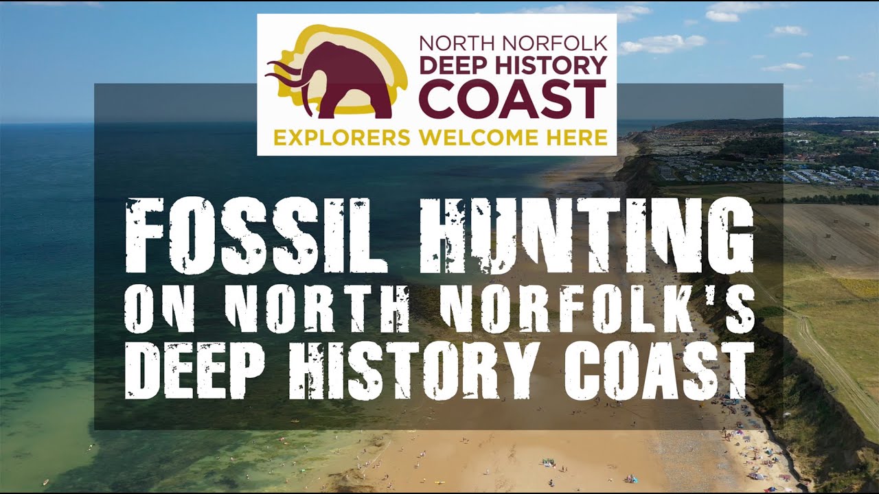 Fossil Hunting on The Deep History Coast