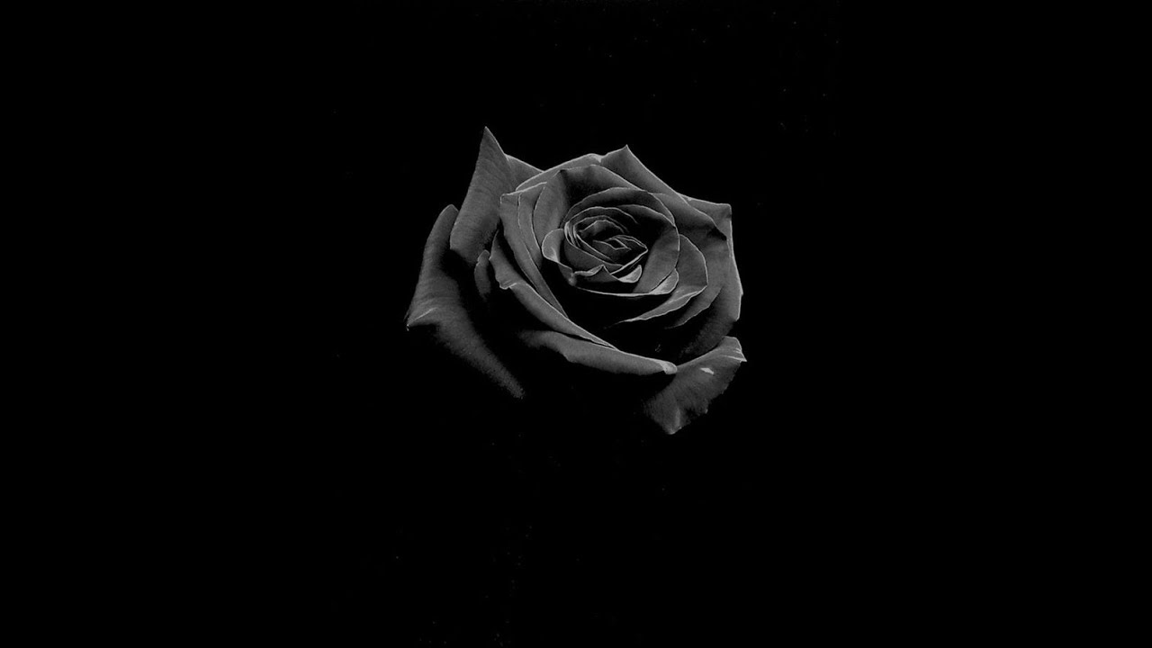 romantic homicide - d4vd (slowed & sped up)