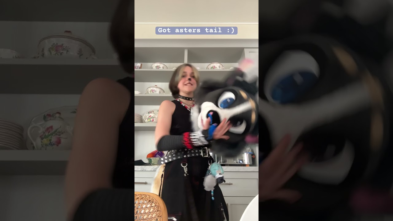 Tail :3   #fursuit #fursuiter #furry #furries #alterhuman #fursuiting #fursona #fyp #antizoo