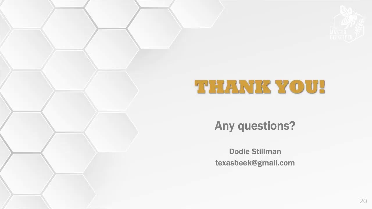Advocating for Honey Bees in Texas