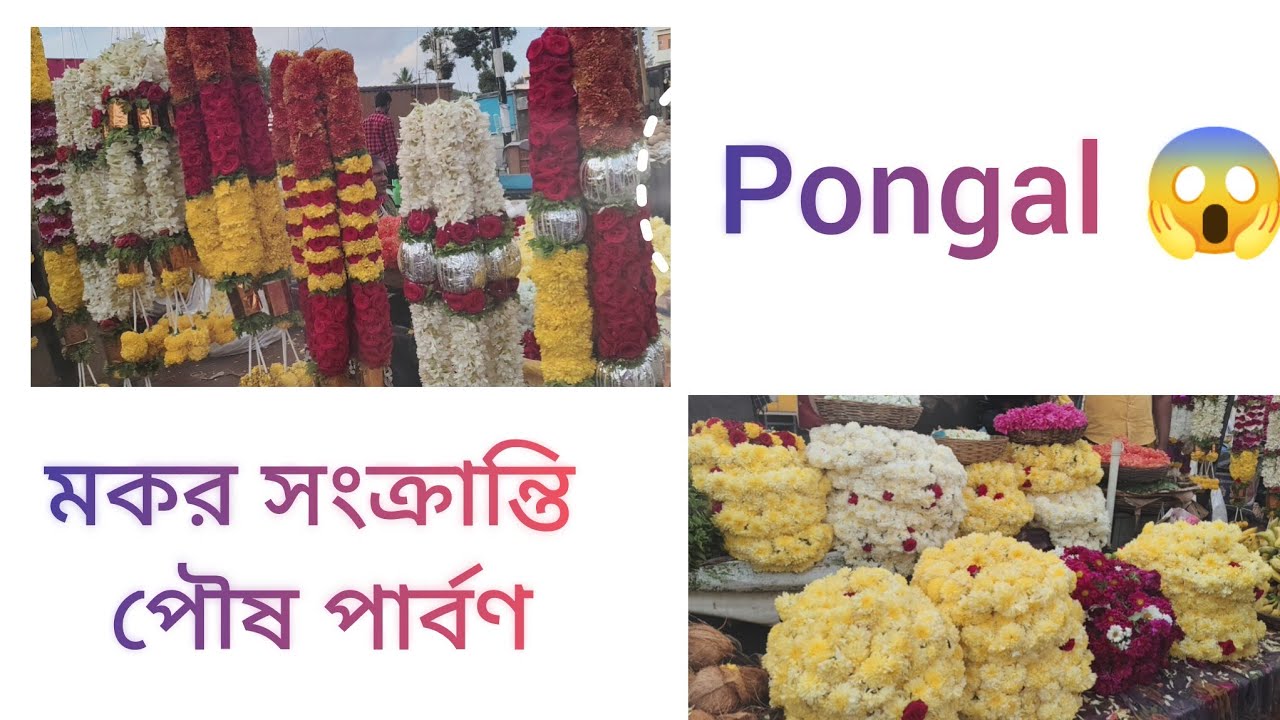 সংক্রান্তির বাজার/ pongal market 🤔 from Karnataka #blogger #viral 