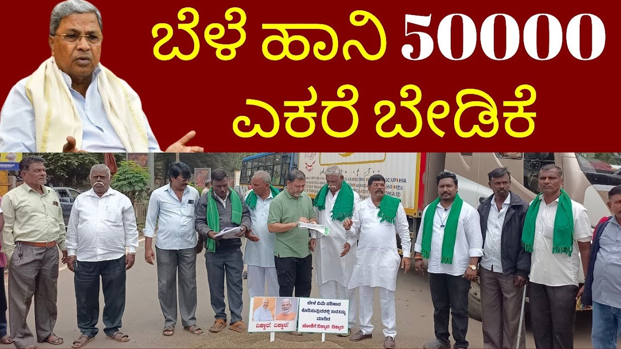 Crop Loss in Karnataka | Demand ₹50,000 Per Acre ರೈತರ ಹೋರಾಟ  50,000 ಪ್ರತಿ ಎಕರೆ ಬೆಳೆ ನಷ್ಟ ಪರಿಹಾರ