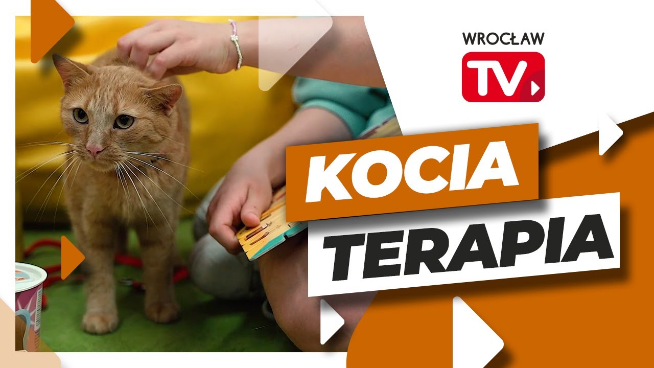 Kot, który został terapeutą. Gru pomaga uczniom w szkole | Wrocław TV