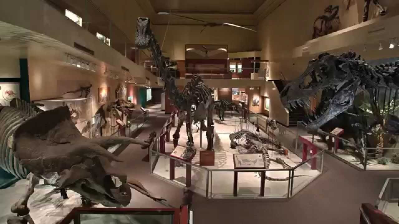 Secrets of the Fossil Hall