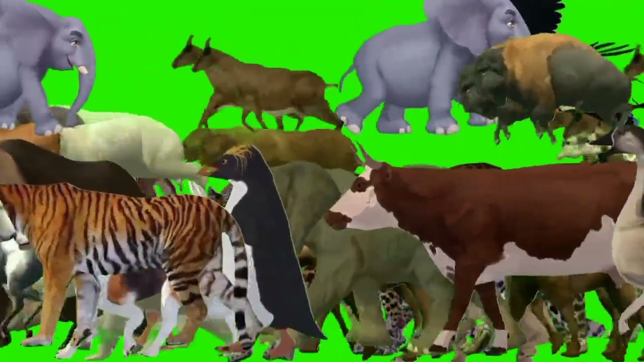 Long side game with elephant cow gorilla horse monkey  lion 3D green screen! #4k #animals #cartoon 