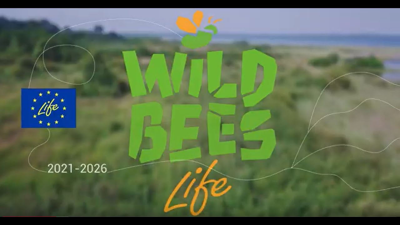 Le LIFE Wild Bees, c'est quoi?