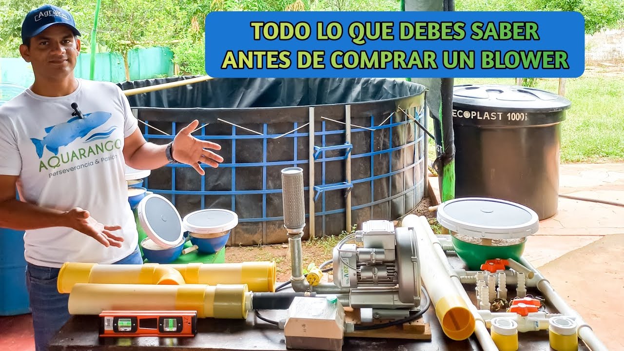 Todo lo que debes saber antes de comprar un blower✅️