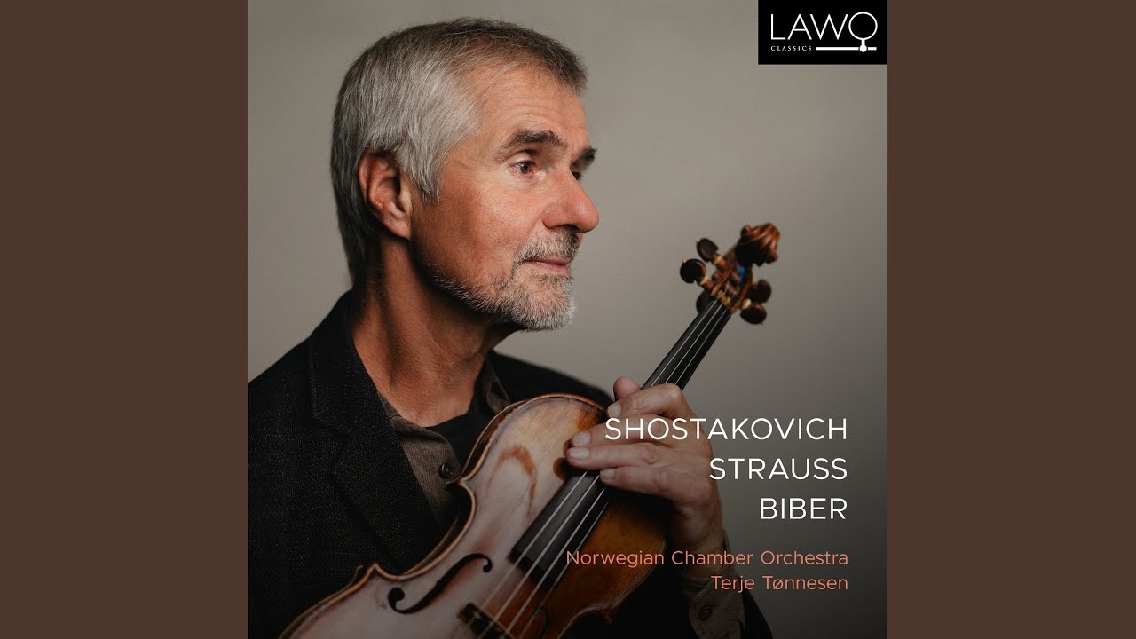 Chamber Symphony in C Minor, Op. 110a: IV. Largo