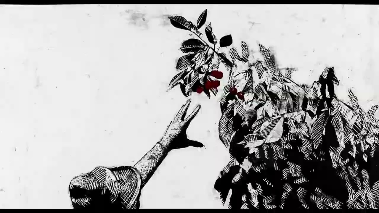 Invelle - Clip 1
