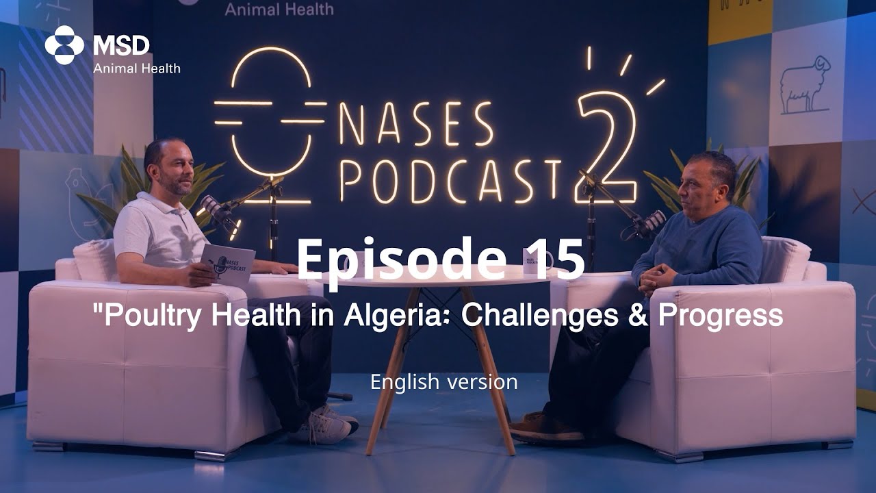 Nases podcast S2 EP 15 