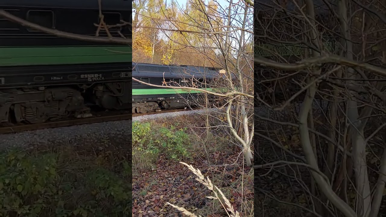 Przejazd BR233 luzem