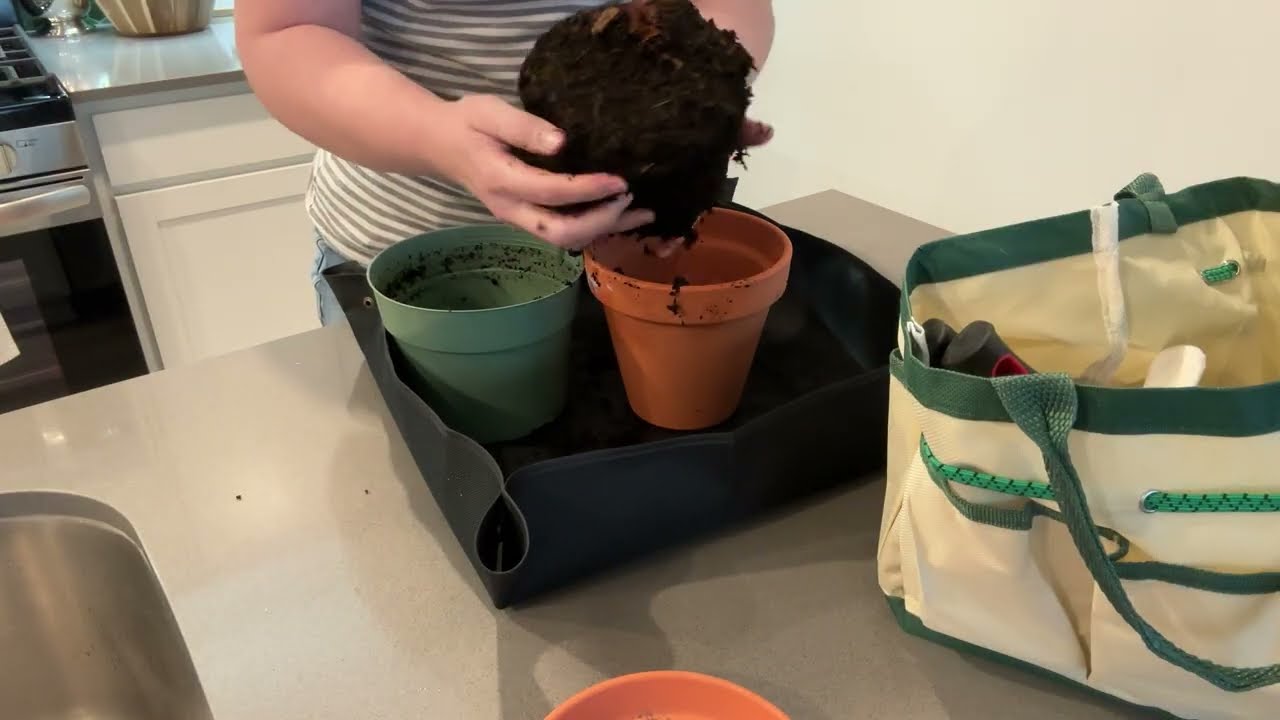 SHAOKAOLU 10 Pcs Gardening Tool Set - Honest Review