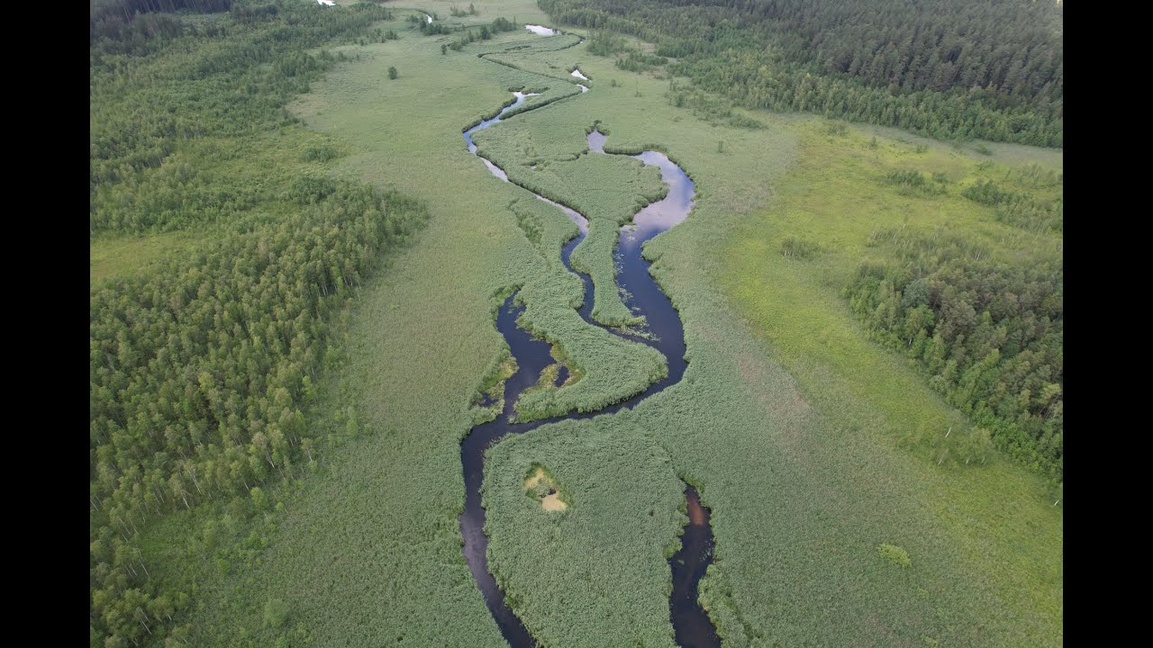 Dolina Rospudy z lotu ptaka / The Rospuda Valley from a bird's eye view