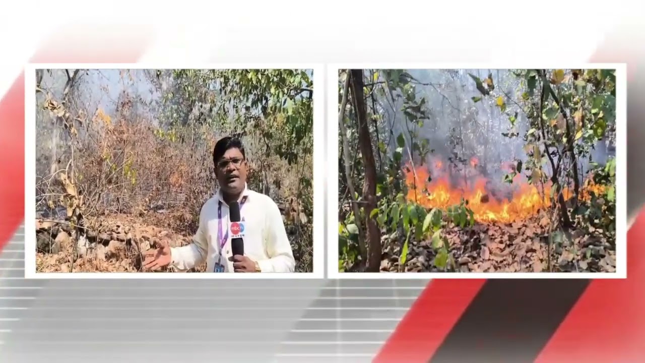 📰 ହୁତୁ ହୁତୁ ହୋଇ ଜଳୁଛି ଜଙ୍ଗଲ, କୁମ୍ଭନିଦ୍ରାରେ ବନ ବିଭାଗ