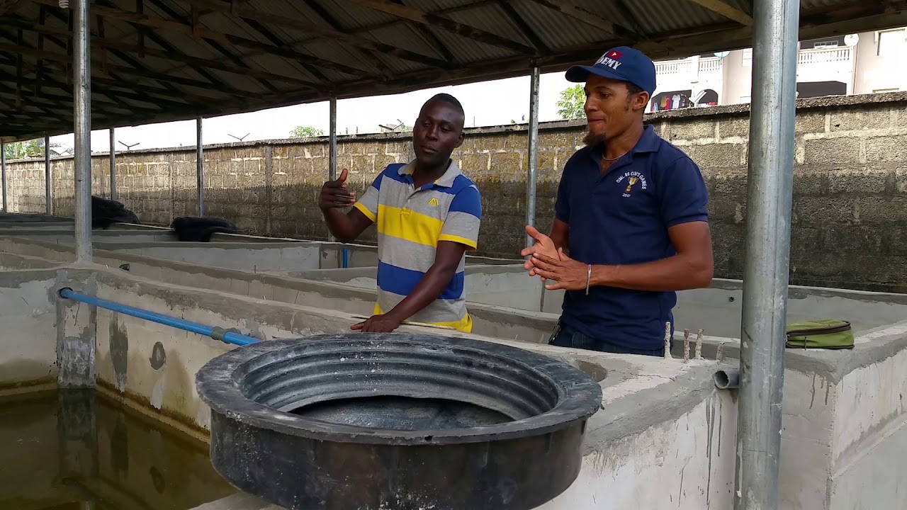 THIS WILL INSPIRE YOU TO STARTING UP OR REOPENING YOUR FISH FARM; HUGE INVESTMENT, HUGE TURNOVER.