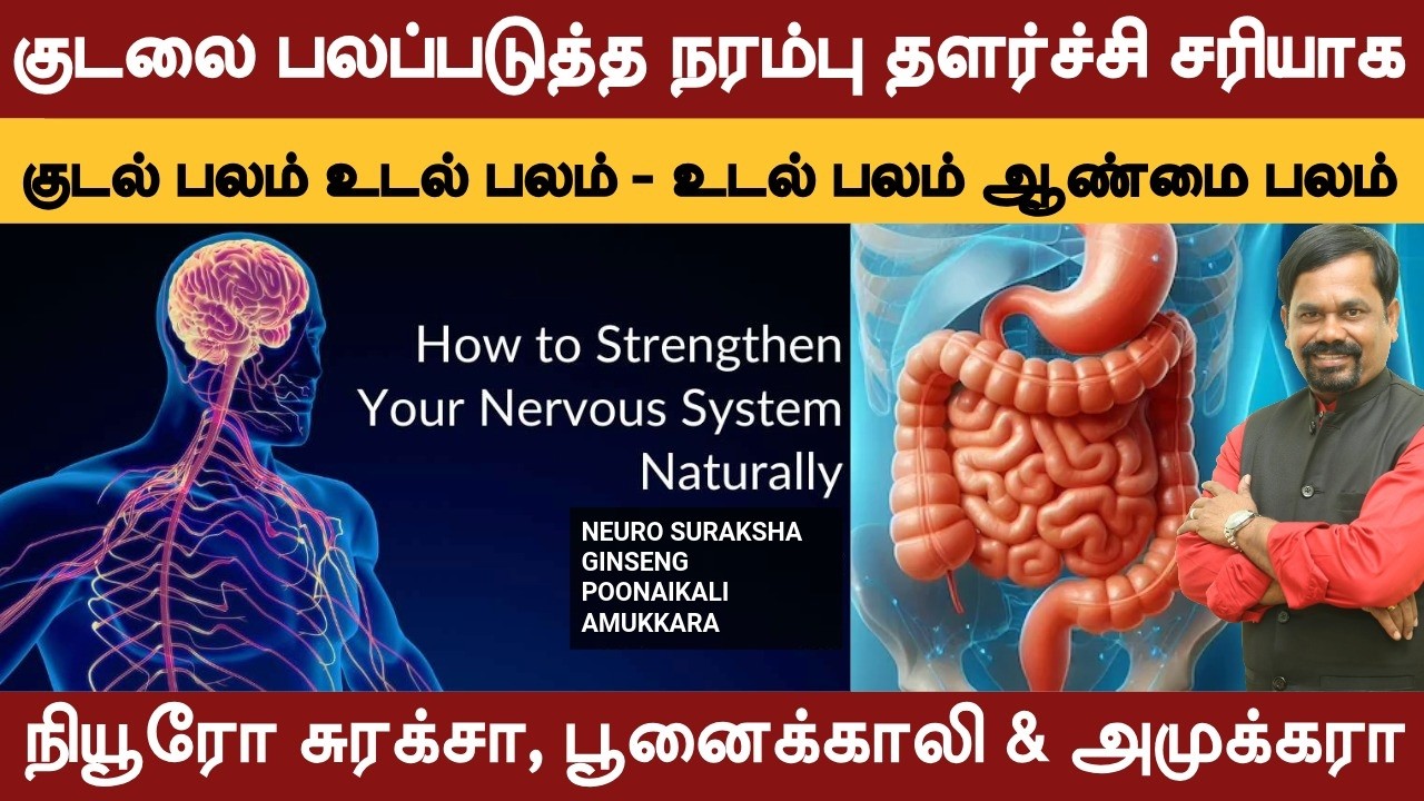 குடல் பலப்பட | நரம்பு பலவீனம் சரியாக | குடல் பலம் உடல் பலம் | பூனைக்காலி & நியூரோ சுரக்சா | IBS Q