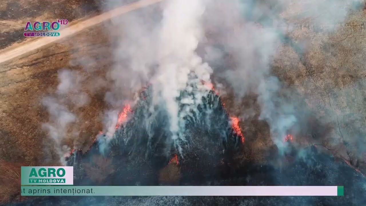 50 de mii de lei amendă pentru incendierea terenurilor &ndash; AGRO TV News