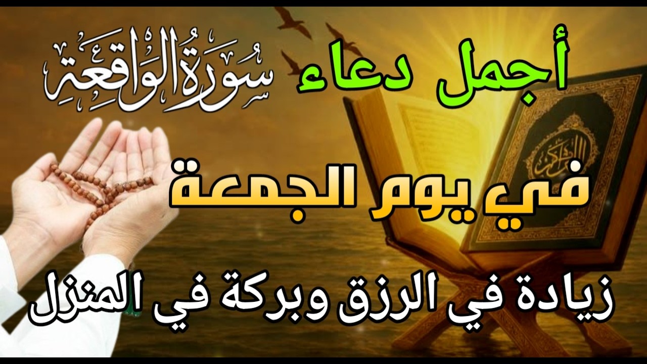 قراءة مؤثرة! دورة واحدة قد تجلب لك الثروة قراءة مؤثرة! دورة واحدة قد تجلب لك الثروة