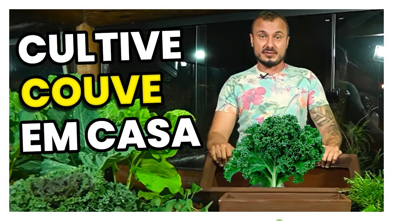 Como CULTIVAR COUVE em casa