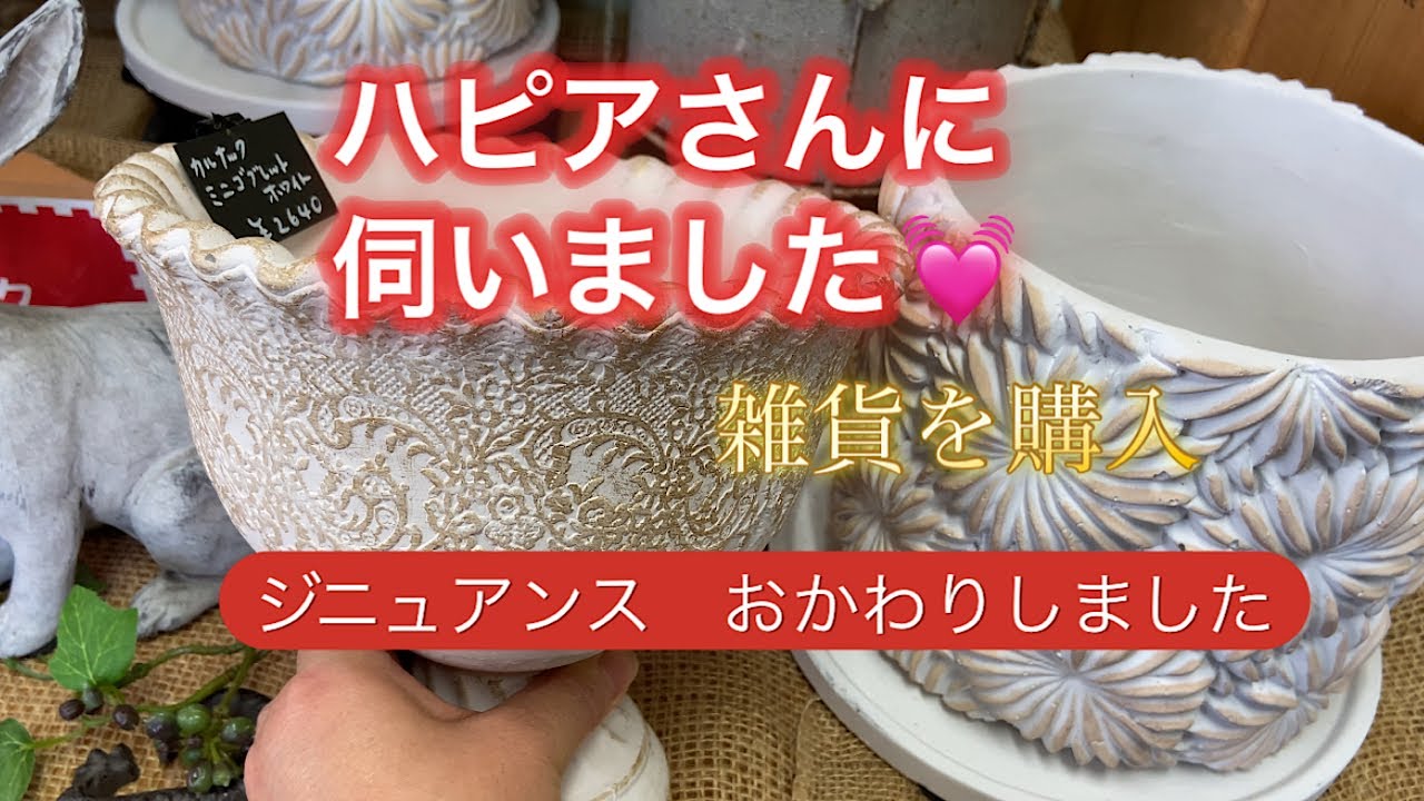 【ハピアさんに伺いました】ジニュアンスのツインズ。華やか寄せ植え。
