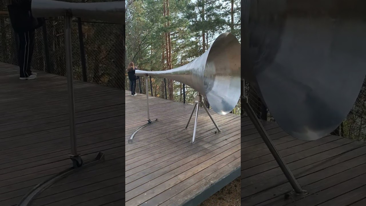 Это ухо ещё больше предыдущего...