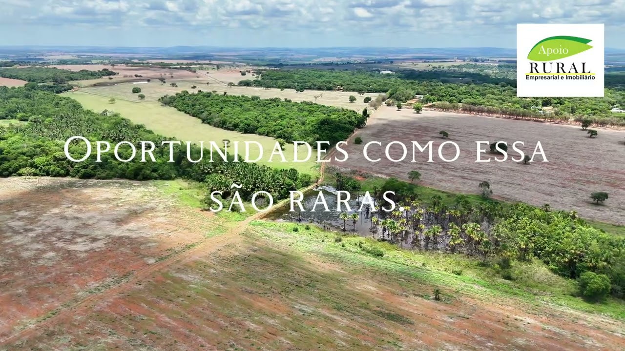 1 ART VIDEO JOAO ROSA