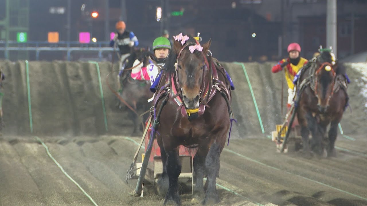 馬蹄の絆 ばんえい 馬と歩んだ北の大地