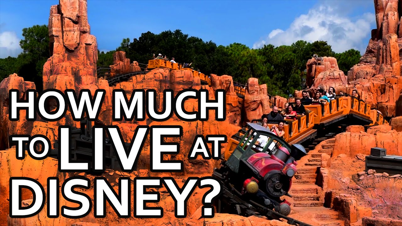 What Does a YEAR at Disney World Cost?