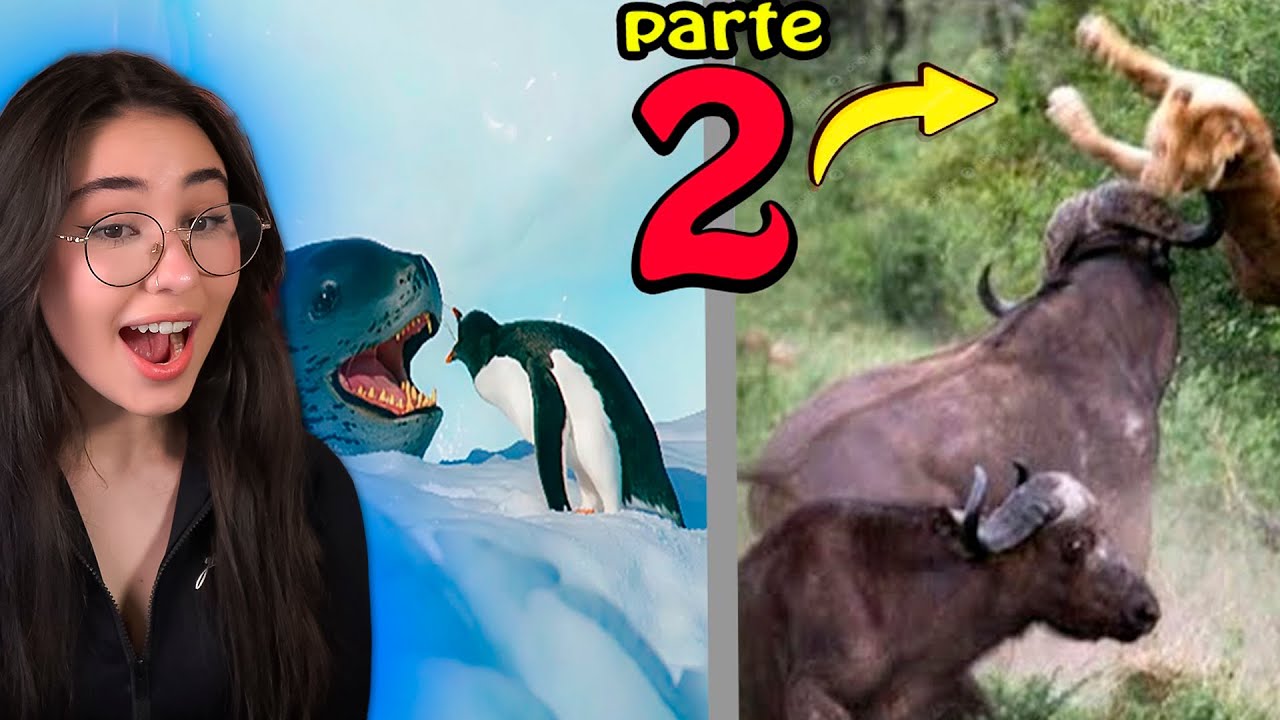 Quando os Animais Escolhem o Oponente Errado PARTE 2! react Fala de Tudo