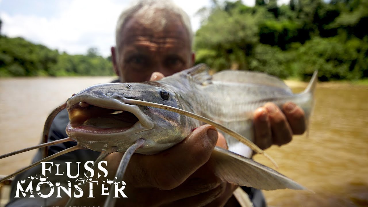 Jeremy Wade vs. der rote Piranha | Fluss Monster Staffel 5 Folge 6