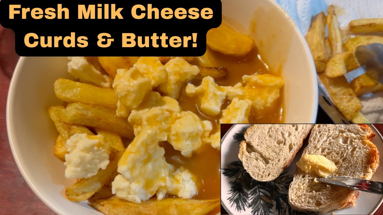 From Fresh Milk to Homemade Cheese Curds + Butter -Making Poutine in Honduras! #butter #cheesecurds