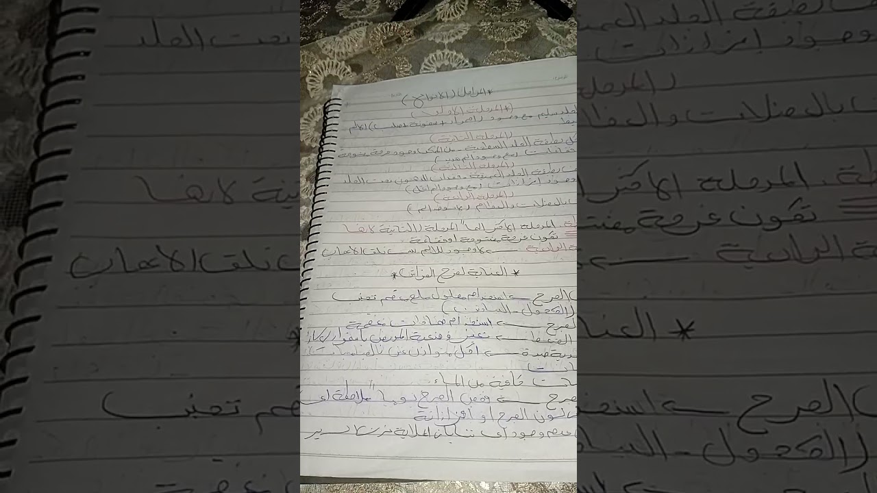 ٥ فبراير ٢٠٢٦