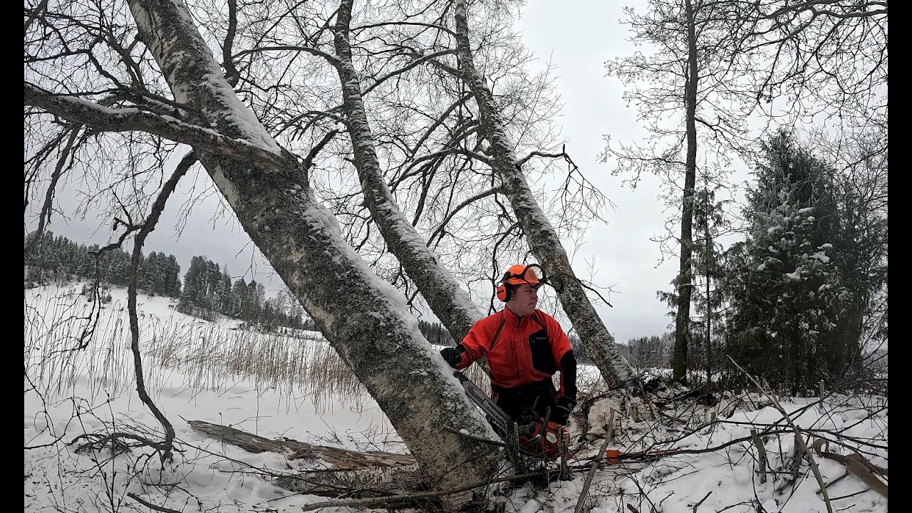 Pitopuun äärirajat. Tulihan ne tekemättömät puut eteen.