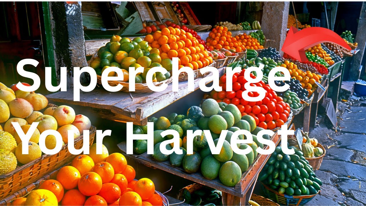 One Way to Supercharge Plant Productivity