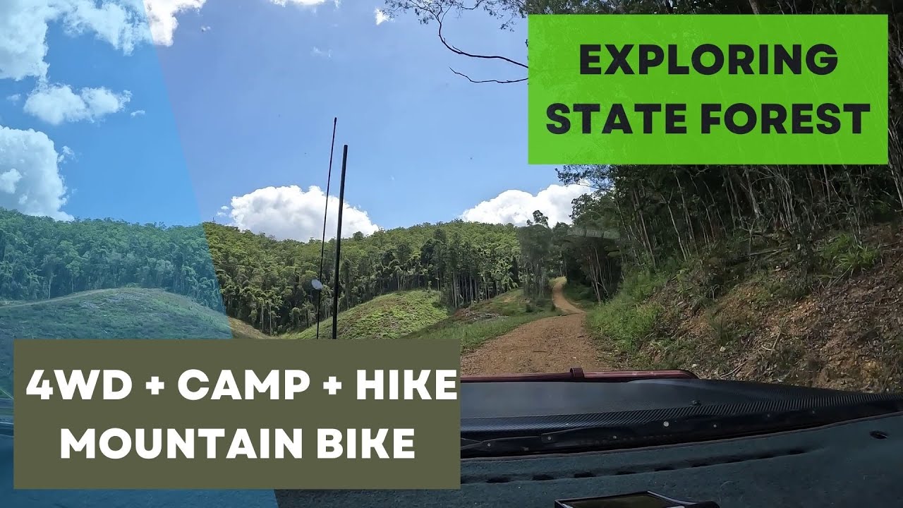 Easy 4WD drive Amamoor and Imbil State Forest, Queensland. MTB ride, hike and camp site Cedar Grove.