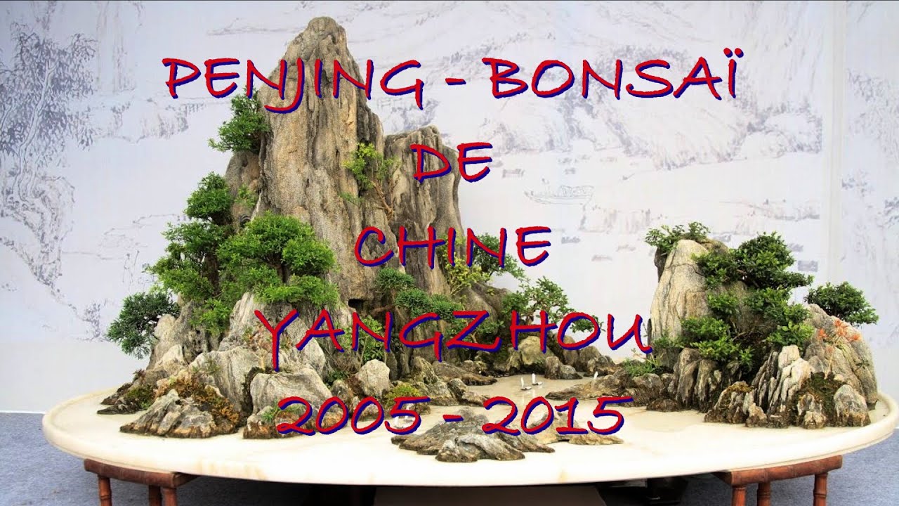 PENJING  et  BONSAÏ de CHINE