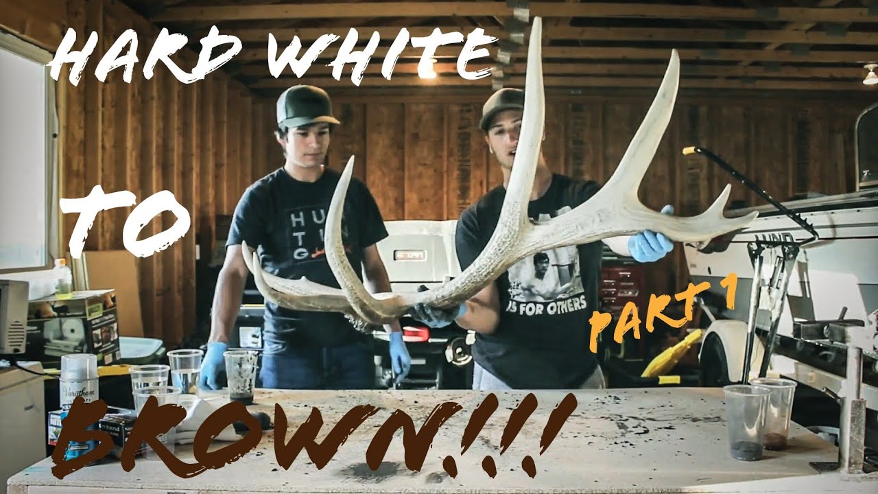 HOW TO RESTORE ANTLERS! 395
