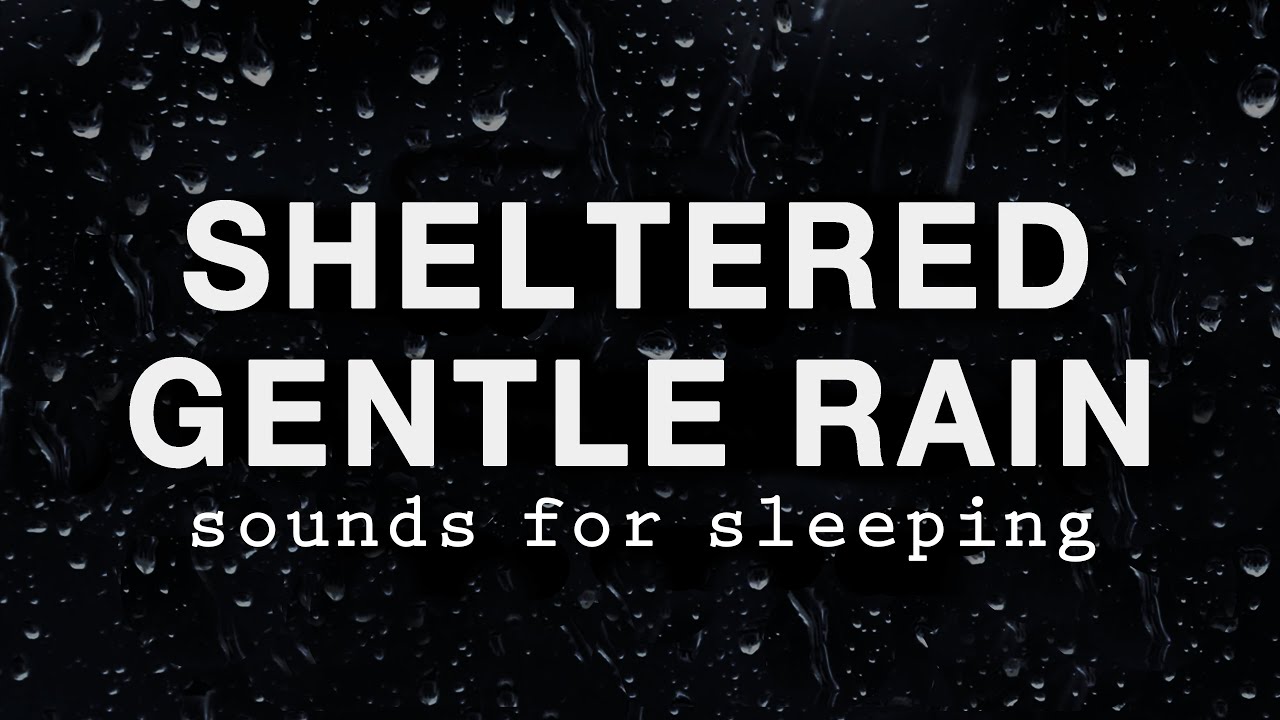 SHELTERED GENTLE RAIN Sounds for Sleeping BLACK SCREEN